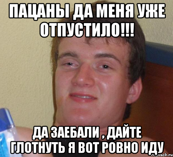 пацаны да меня уже отпустило!!! да заебали , дайте глотнуть я вот ровно иду, Мем 10 guy (Stoner Stanley really high guy укуренный парень)