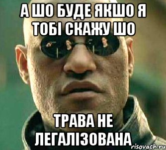 а шо буде якшо я тобі скажу шо трава не легалізована, Мем  а что если я скажу тебе