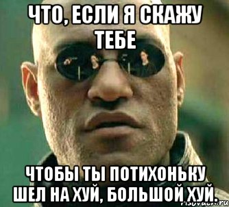 что, если я скажу тебе чтобы ты потихоньку шел на хуй, большой хуй.