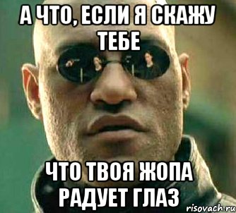 а что, если я скажу тебе что твоя жопа радует глаз, Мем  а что если я скажу тебе