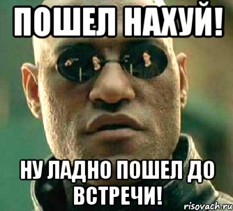 пошел нахуй! ну ладно пошел до встречи!, Мем  а что если я скажу тебе