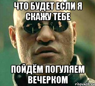 что будет если я скажу тебе пойдём погуляем вечерком, Мем  а что если я скажу тебе