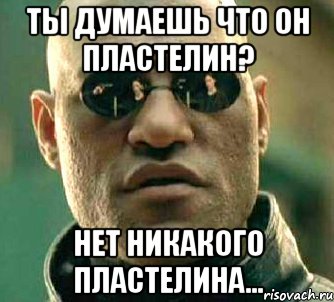 ты думаешь что он пластелин? нет никакого пластелина...