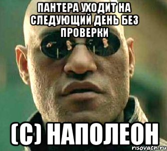 пантера уходит на следующий день без проверки (с) наполеон