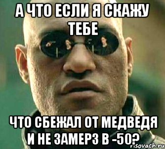 а что если я скажу тебе что сбежал от медведя и не замерз в -50?, Мем  а что если я скажу тебе