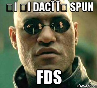 și și dacî îț spun fds, Мем  а что если я скажу тебе