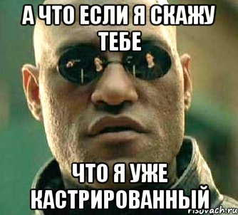 а что если я скажу тебе что я уже кастрированный, Мем  а что если я скажу тебе