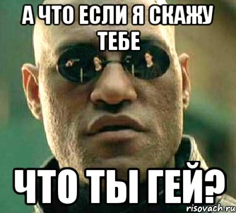 а что если я скажу тебе что ты гей?, Мем  а что если я скажу тебе