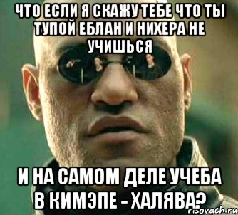 что если я скажу тебе что ты тупой еблан и нихера не учишься и на самом деле учеба в кимэпе - халява?, Мем  а что если я скажу тебе