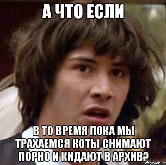 а что если в то время пока мы трахаемся коты снимают порно и кидают в архив?, Мем А что если (Киану Ривз)