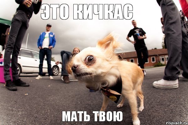 Это Кичкас Мать Твою, Комикс а туда ли ты зашел