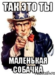 так это ты маленькая собачка, Мем а ты