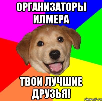 организаторы илмера твои лучшие друзья!, Мем Advice Dog