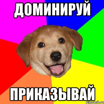 доминируй приказывай, Мем Advice Dog