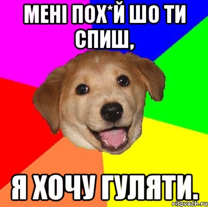 мені пох*й шо ти спиш, я хочу гуляти., Мем Advice Dog