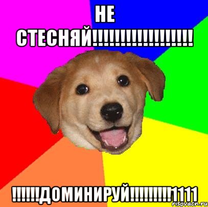 не стесняй!!! !!!доминируй!!!1111