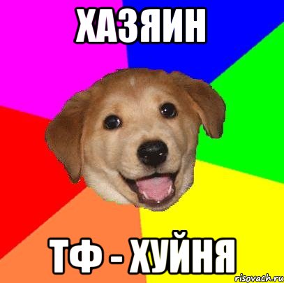 хазяин тф - хуйня, Мем Advice Dog