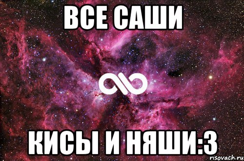 все саши кисы и няши:3