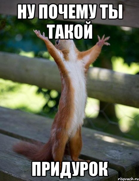 ну почему ты такой придурок