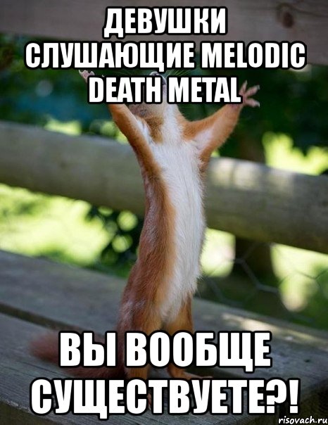 девушки слушающие melodic death metal вы вообще существуете?!, Мем    белка молится