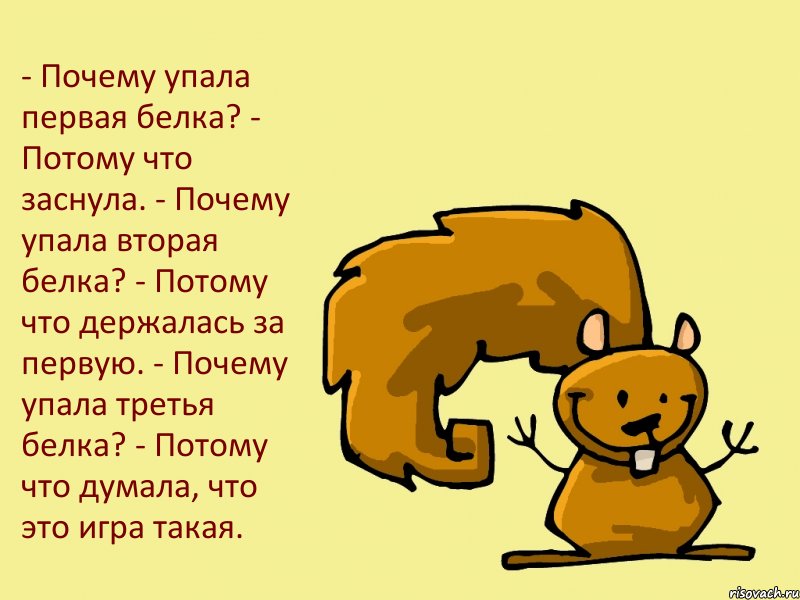 - Почему упала первая белка? - Потому что заснула. - Почему упала вторая белка? - Потому что держалась за первую. - Почему упала третья белка? - Потому что думала, что это игра такая.