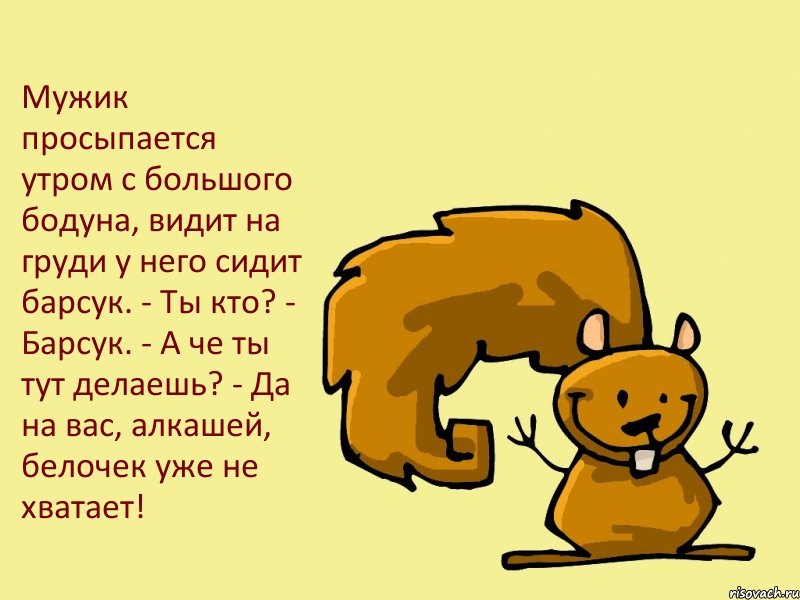 Мужик просыпается утром с большого бодуна, видит на груди у него сидит барсук. - Ты кто? - Барсук. - А че ты тут делаешь? - Да на вас, алкашей, белочек уже не хватает!, Комикс  белка