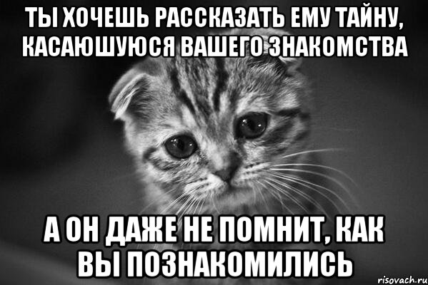 ты хочешь рассказать ему тайну, касаюшуюся вашего знакомства а он даже не помнит, как вы познакомились, Мем  безысходность