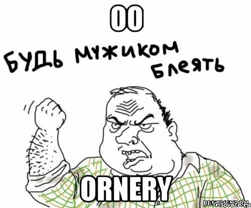 oo ornery, Мем блять