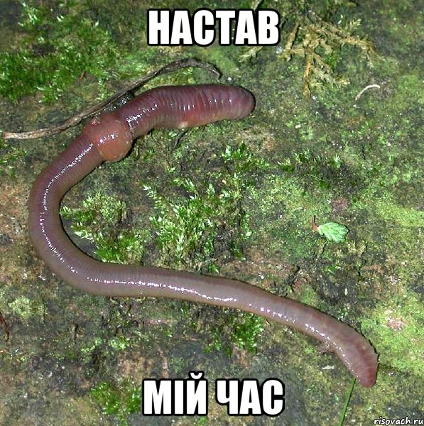 настав мій час, Мем черв