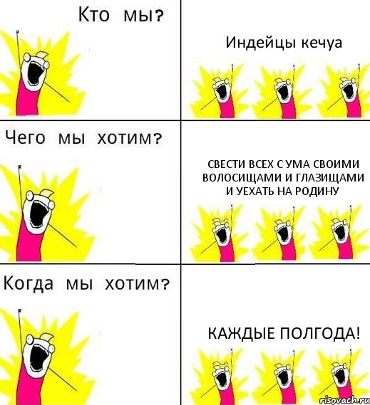 Индейцы кечуа свести всех с ума своими волосищами и глазищами и уехать на родину каждые полгода!, Комикс Что мы хотим