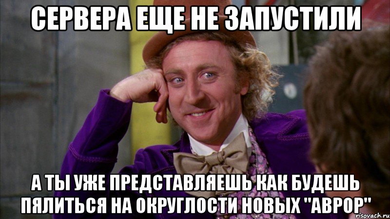 сервера еще не запустили а ты уже представляешь как будешь пялиться на округлости новых "аврор", Мем Ну давай расскажи (Вилли Вонка)