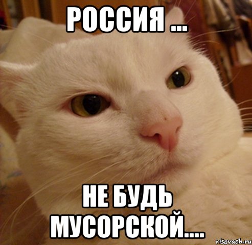 россия ... не будь мусорской...., Мем Дерзкий котэ