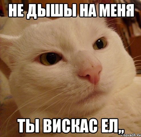 не дышы на меня ты вискас ел,,