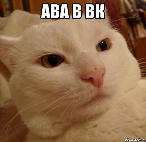 ава в вк 