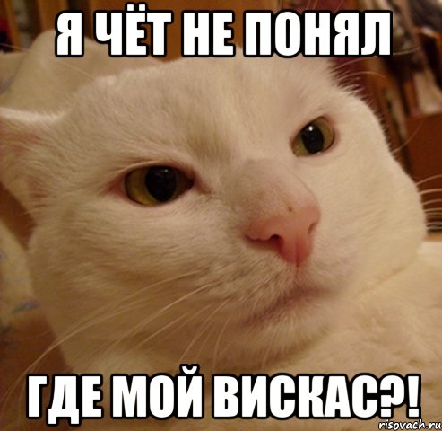 я чёт не понял где мой вискас?!, Мем Дерзкий котэ