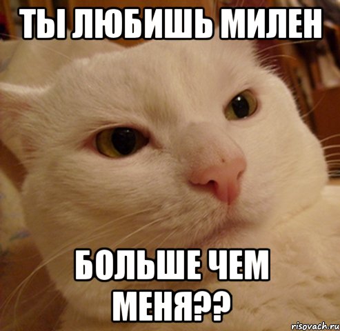 ты любишь милен больше чем меня??