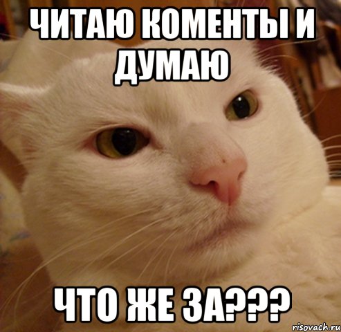 читаю коменты и думаю что же за???