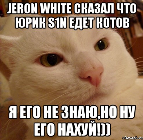 jeron white сказал что юрик s1n едет котов я его не знаю,но ну его нахуй!))