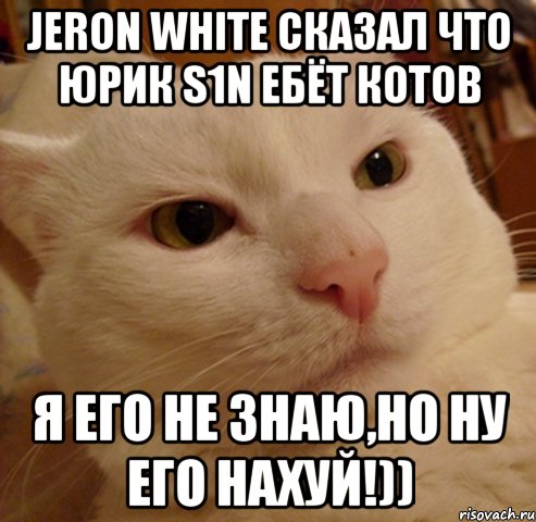 jeron white сказал что юрик s1n ебёт котов я его не знаю,но ну его нахуй!)), Мем Дерзкий котэ