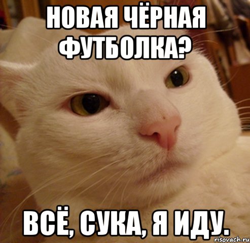 новая чёрная футболка? всё, сука, я иду., Мем Дерзкий котэ