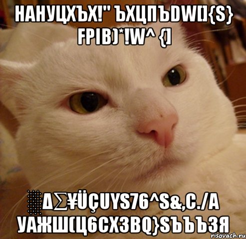 hahуцхъх!" ъхцпъdw[]{s} fpib)*!w^ {] ░δ∑¥üçuys76^s&,c./a уажш(ц6схзвq}sъъъзя, Мем Дерзкий котэ