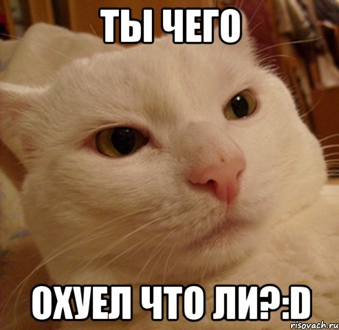 ты чего охуел что ли?:d