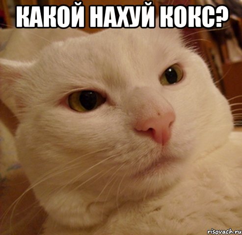 какой нахуй кокс? 