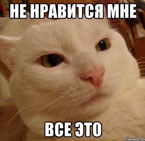 не нравится мне все это, Мем Дерзкий котэ