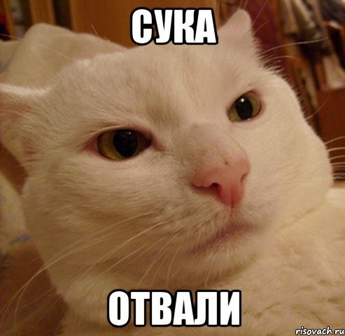 сука отвали