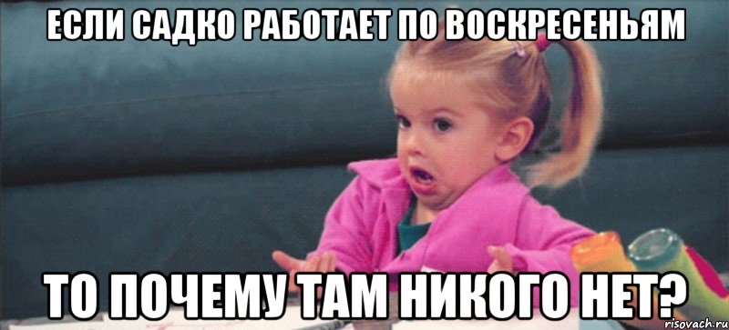 если садко работает по воскресеньям то почему там никого нет?, Мем  Ты говоришь (девочка возмущается)