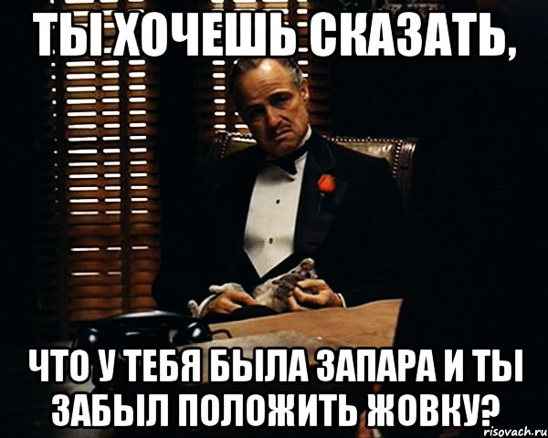 ты хочешь сказать, что у тебя была запара и ты забыл положить жовку?, Мем Дон Вито Корлеоне