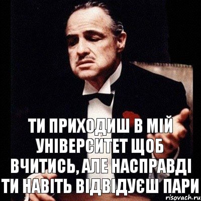 ти приходиш в мій університет щоб вчитись, але насправді ти навіть відвідуєш пари, Комикс Дон Вито Корлеоне 1