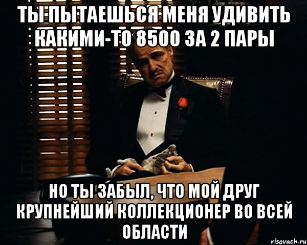 ты пытаешься меня удивить какими-то 8500 за 2 пары но ты забыл, что мой друг крупнейший коллекционер во всей области, Мем Дон Вито Корлеоне