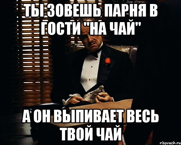 ты зовешь парня в гости "на чай" а он выпивает весь твой чай, Мем Дон Вито Корлеоне